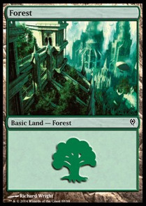 Forest