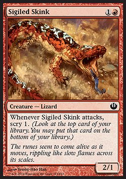 Sigiled Skink