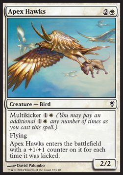 Apex Hawks