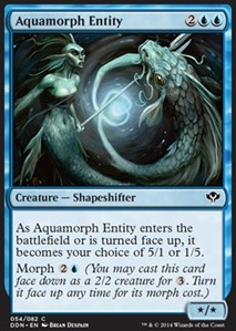Aquamorph Entity