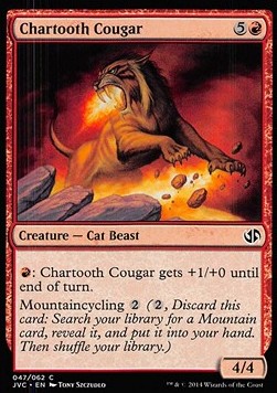 Chartooth Cougar