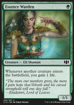 Essence Warden