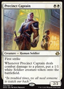 Precinct Captain