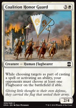 Coalition Honor Guard