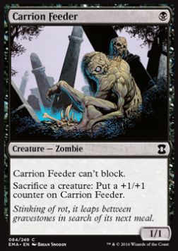 Carrion Feeder