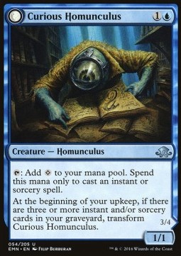 Curious Homunculus / Voracious Reader