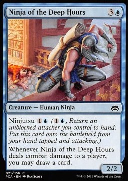 Ninja of the Deep Hours