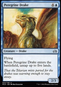 Peregrine Drake