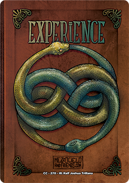 Experience Counter