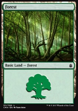 Forest