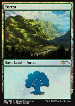 Forest