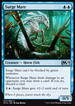 Surge Mare