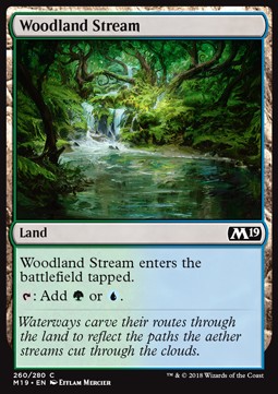 Woodland Stream
