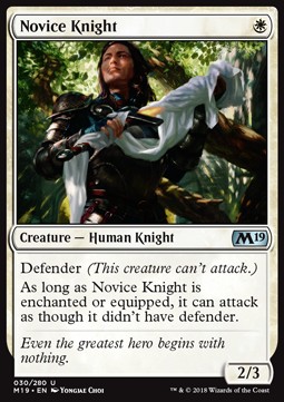 Novice Knight
