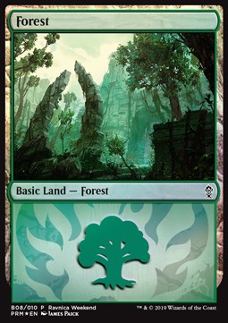 Forest