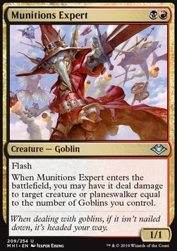 Munitions Expert