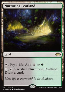 Nurturing Peatland