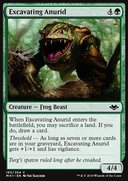 Excavating Anurid