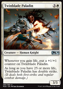 Twinblade Paladin