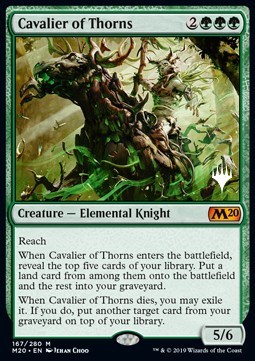 Cavalier of Thorns