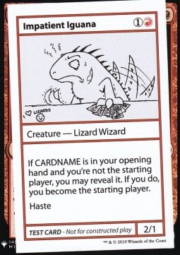 Impatient Iguana