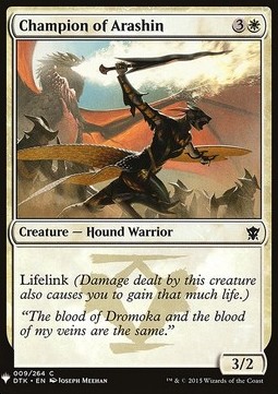 Champion of Arashin