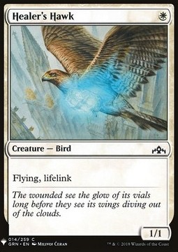 Healer's Hawk