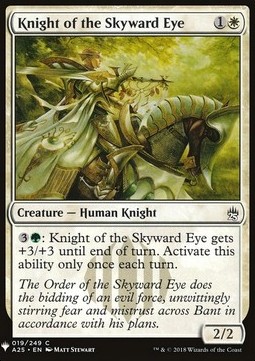 Knight of the Skyward Eye