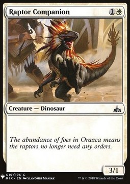 Raptor Companion