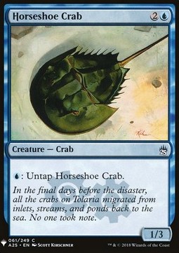 Horseshoe Crab