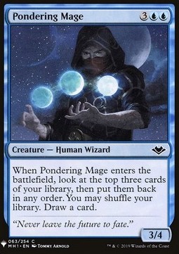 Pondering Mage