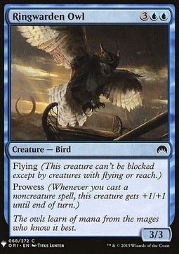 Ringwarden Owl