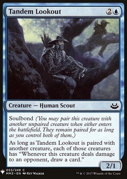 Tandem Lookout