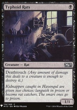 Typhoid Rats