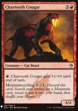 Chartooth Cougar