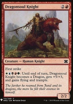 Dragonsoul Knight