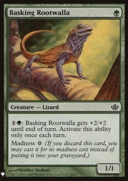 Basking Rootwalla