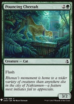 Pouncing Cheetah