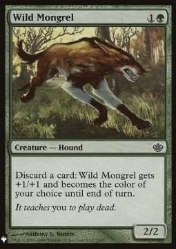 Wild Mongrel