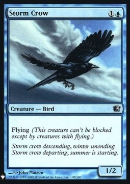 Storm Crow