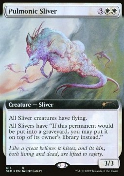 Pulmonic Sliver