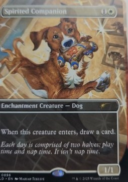Spirited Companion