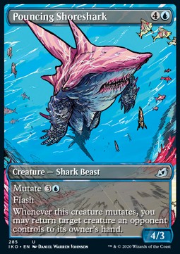 Pouncing Shoreshark