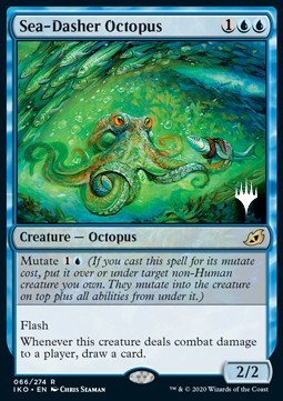 Sea-Dasher Octopus