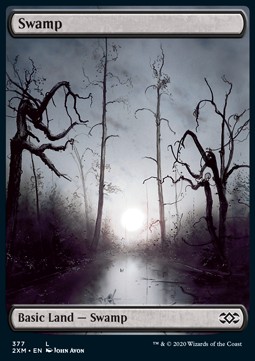 Swamp