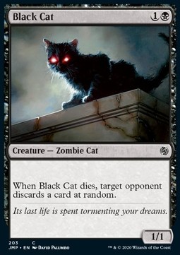 Black Cat