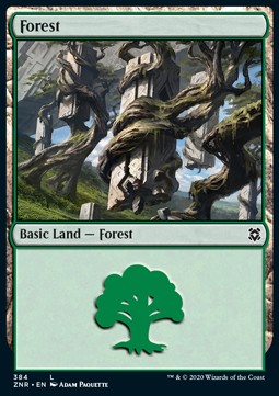 Forest