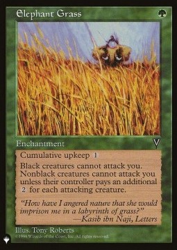Elephant Grass
