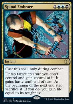 Spinal Embrace