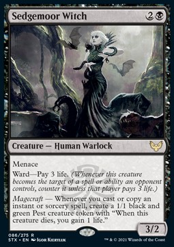 Sedgemoor Witch